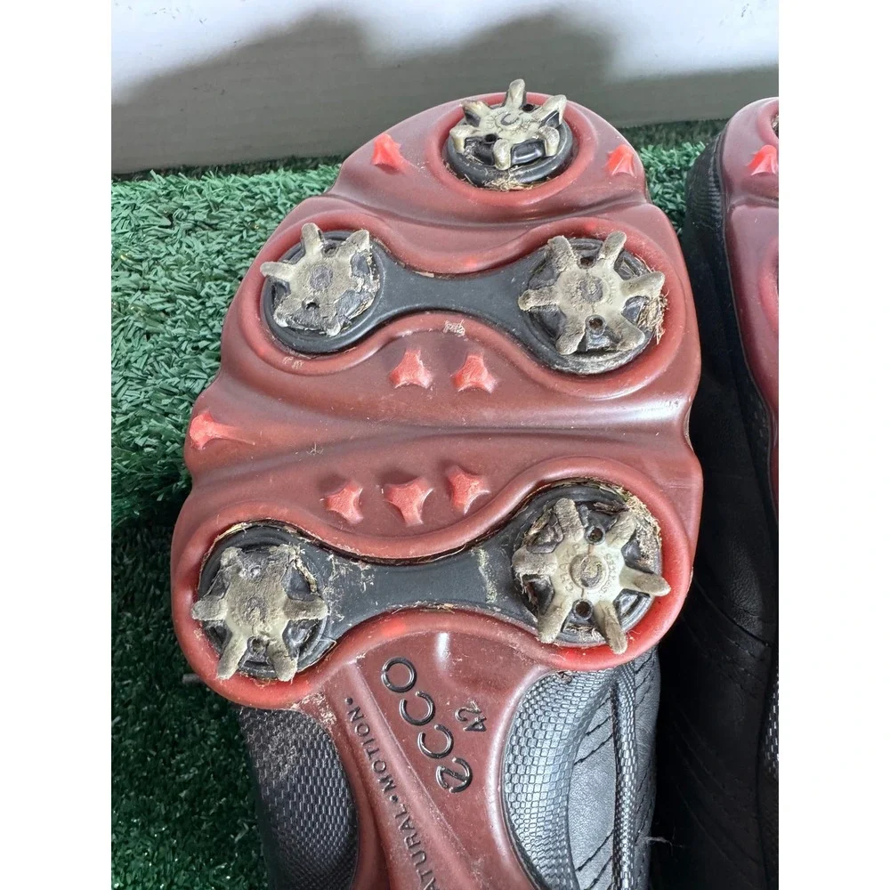 Ecco these could